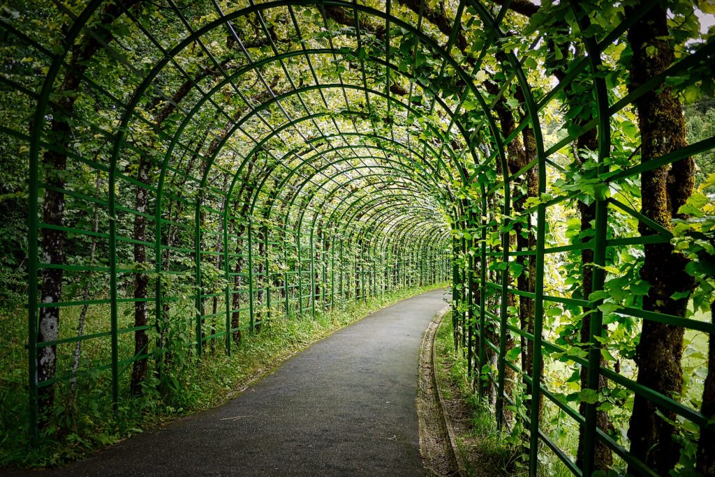 tunnel in a garden