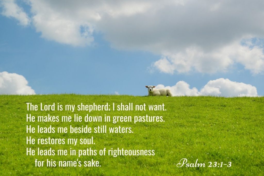 Psalms 23 The Lord is my Shepherd